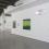 Love in Vein: Editions Fawbush projects & artists 2005-2010 installation view 6