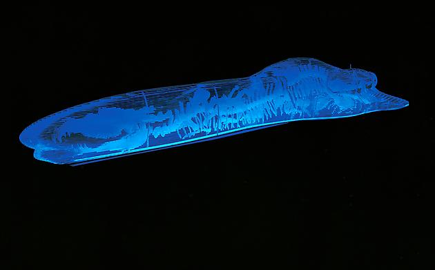 Amber Dragon, 2006
Acrylic, LEDs, stainless steel
10 x 3 1/4 x 1 1/2 feet