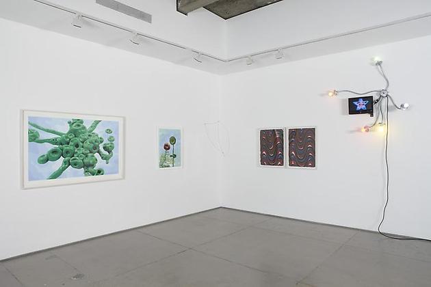 Love in Vein: Editions Fawbush projects & artists 2005-2010 installation view 3