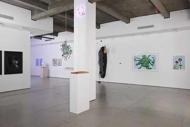 Love in Vein: Editions Fawbush projects & artists 2005-2010 installation view 1