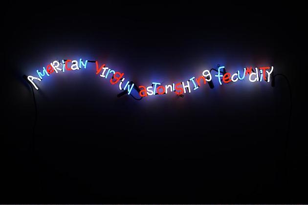 ASSUME VIVID ASTRO FOCUS
American Virgin Astonishing Fecundity, 2009
Neon
7 ¾ x 51 ¼ x 1 inches
Edition of 8
