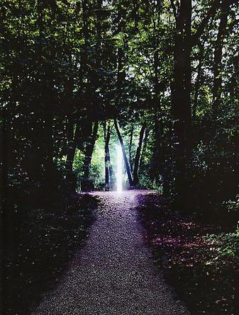 Column (in Light), Glashütte Eifel 2004, 2009
Photograph printed on vinyl
78 ¾ x 55 ¼ inches
Edition of 6