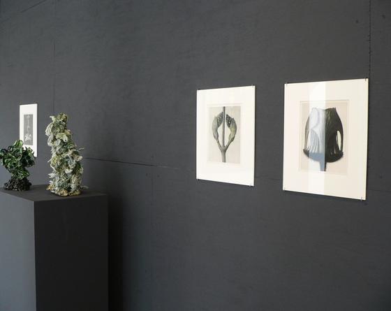 Exhibition view: The Orchid Thief