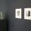 Exhibition view: The Orchid Thief