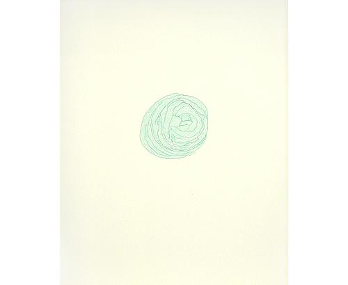 Desert Rose in Borderland Green IV
2002
pencil on paper
34 x 28 cm
