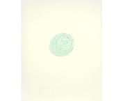 Desert Rose in Borderland Green IV
2002
pencil on paper
34 x 28 cm