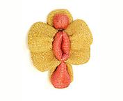 Flower 13
2001
mixed media
34 x 25 x 10  cm
