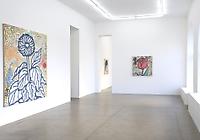 Donald Baechler