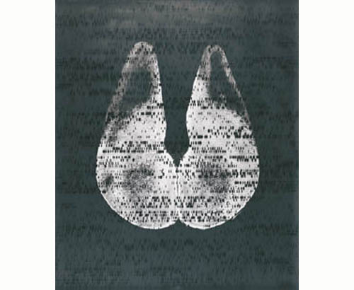 Ecca femina-DNA somagram
1992 - 1995
bodyprin, gelatin silver photograph, mixed media
72 x 53  cm