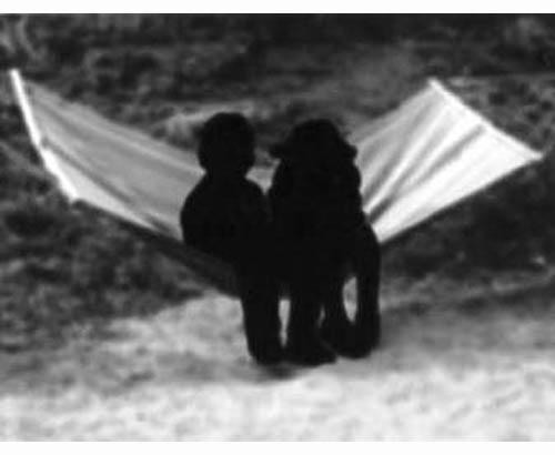 Untitled (Hammock)
1998
gelatin silver photograph
19 x 25 cm